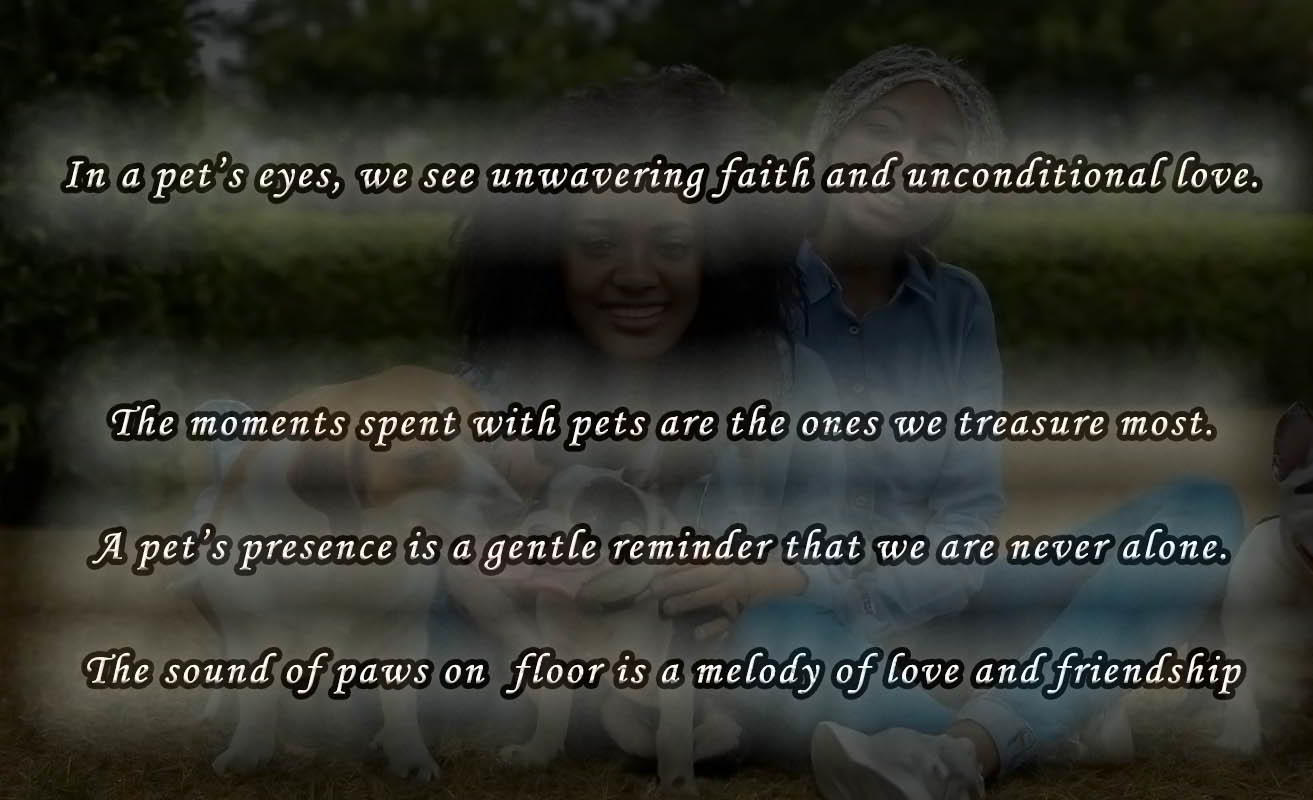 pet quotes pictures