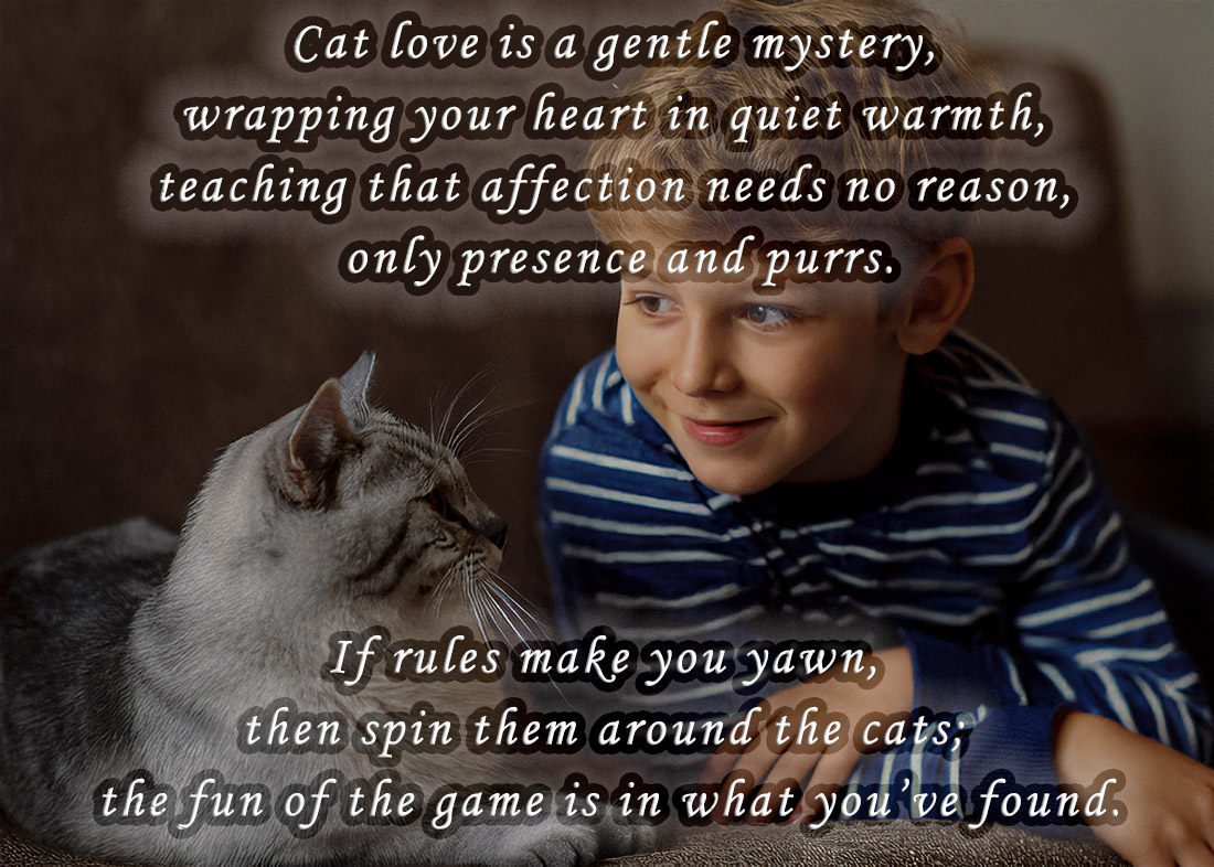 cat reference photos and cat quotes