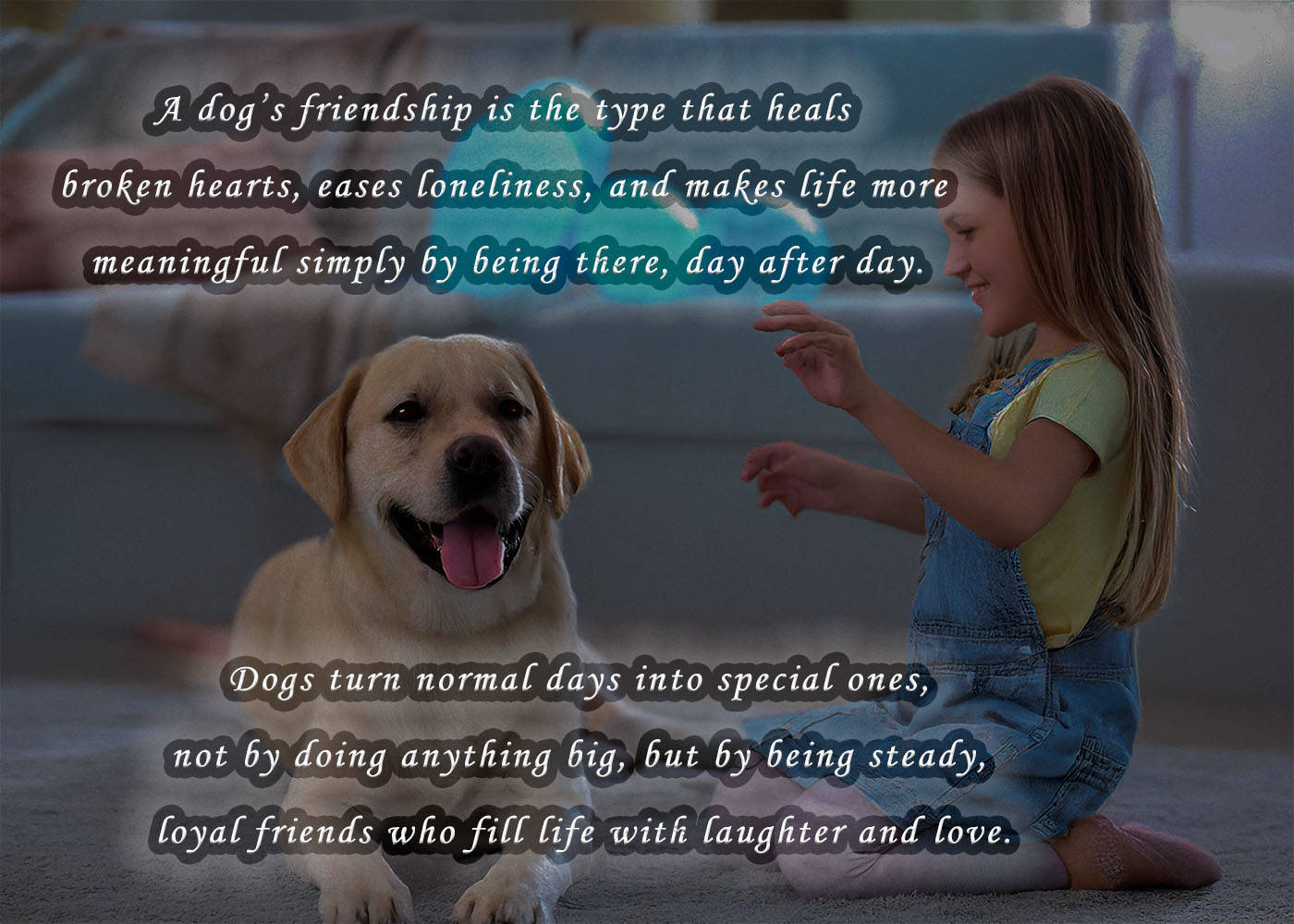 100+ Dog & Pet Love Quotes – Funny Cat Quotes