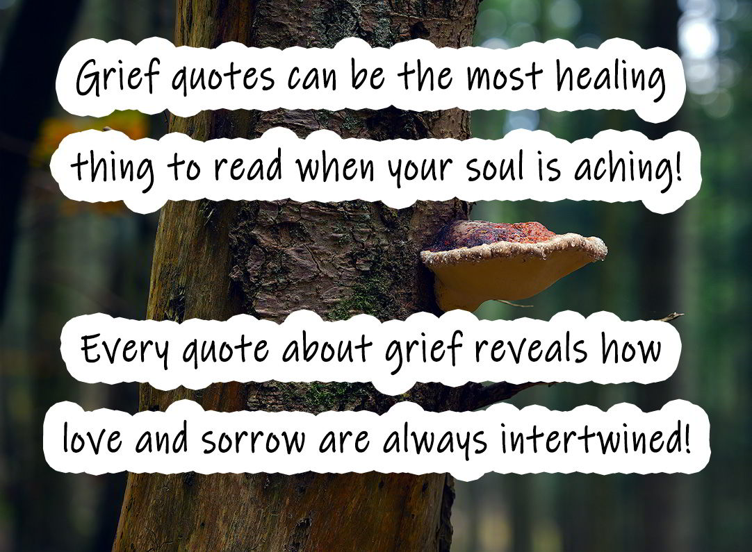grief quotes images