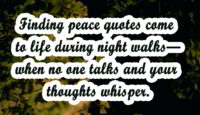 200+ Peace Quotes to Bring Calm | Inner Peace Quotes